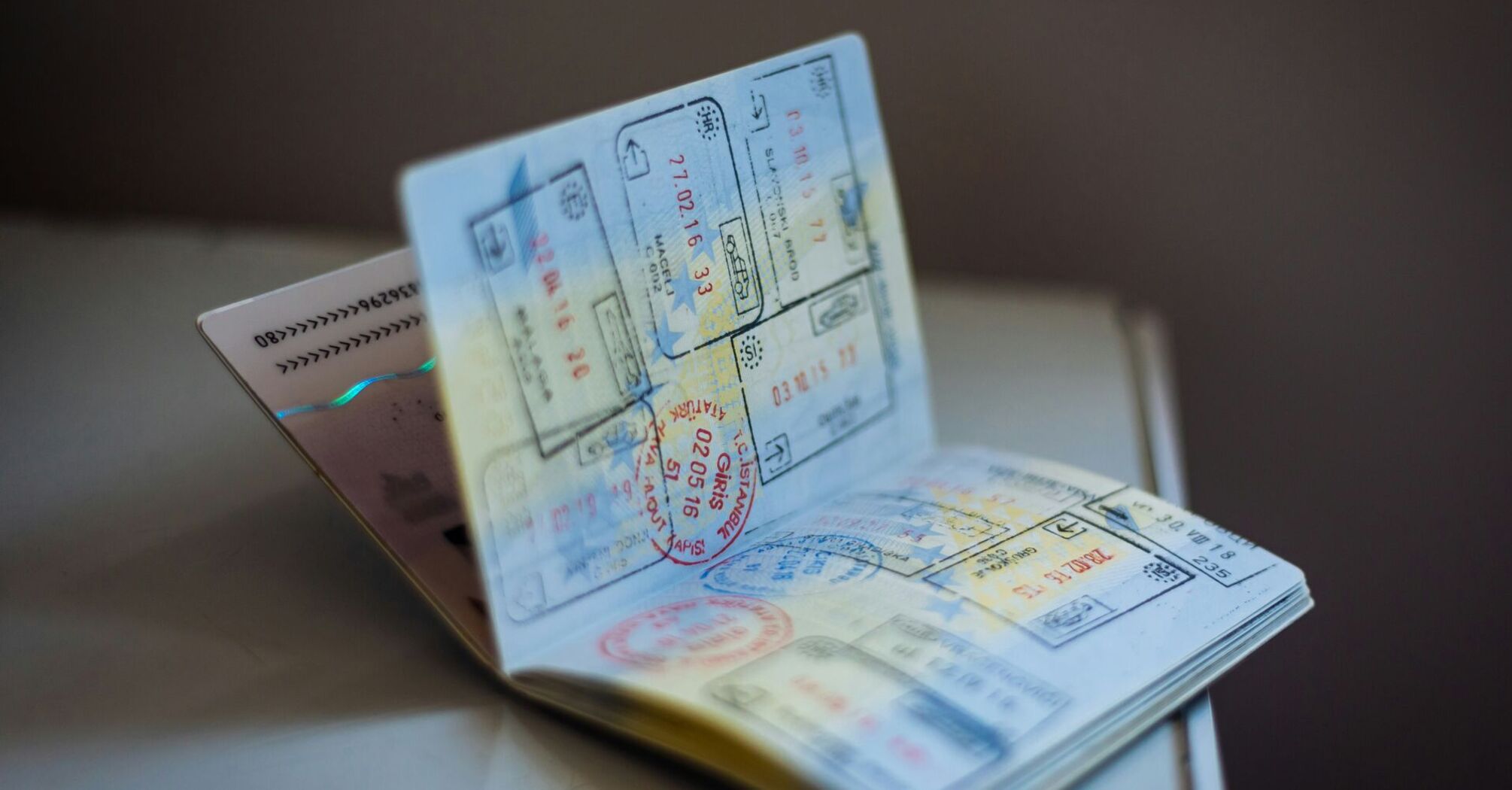 Citizenship Fraud: The Dangers of Fake Passports